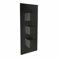Black Triple Handle, 2 Outlet Concealed Valve