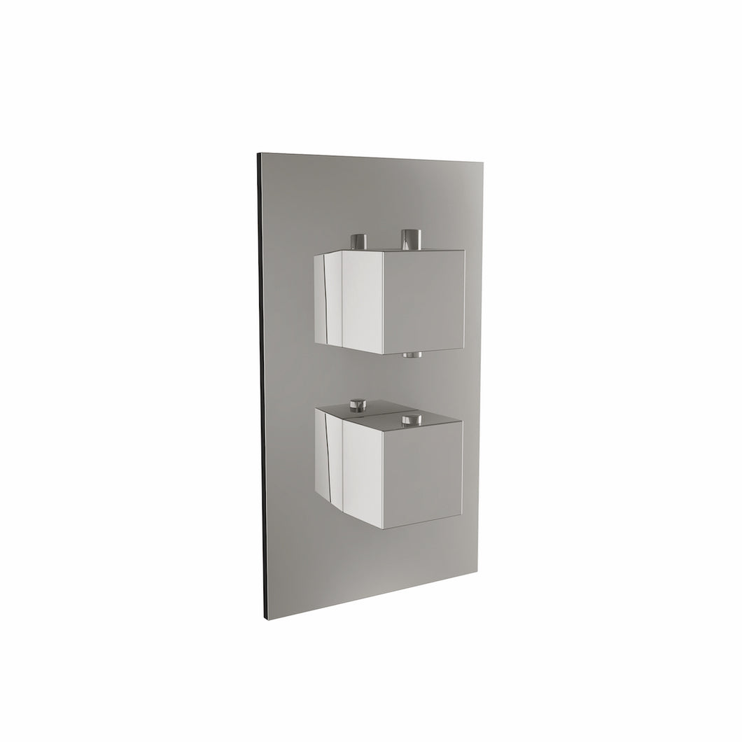 Dual Handle, 2 Outlet Concealed Valve - Chrome