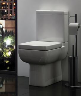 Options Close Couple Toilet with Soft Close Seat